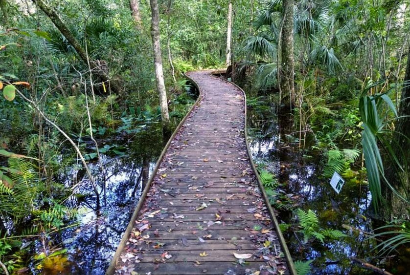 Jacksonville Arboretum & Botanical Gardens, United States